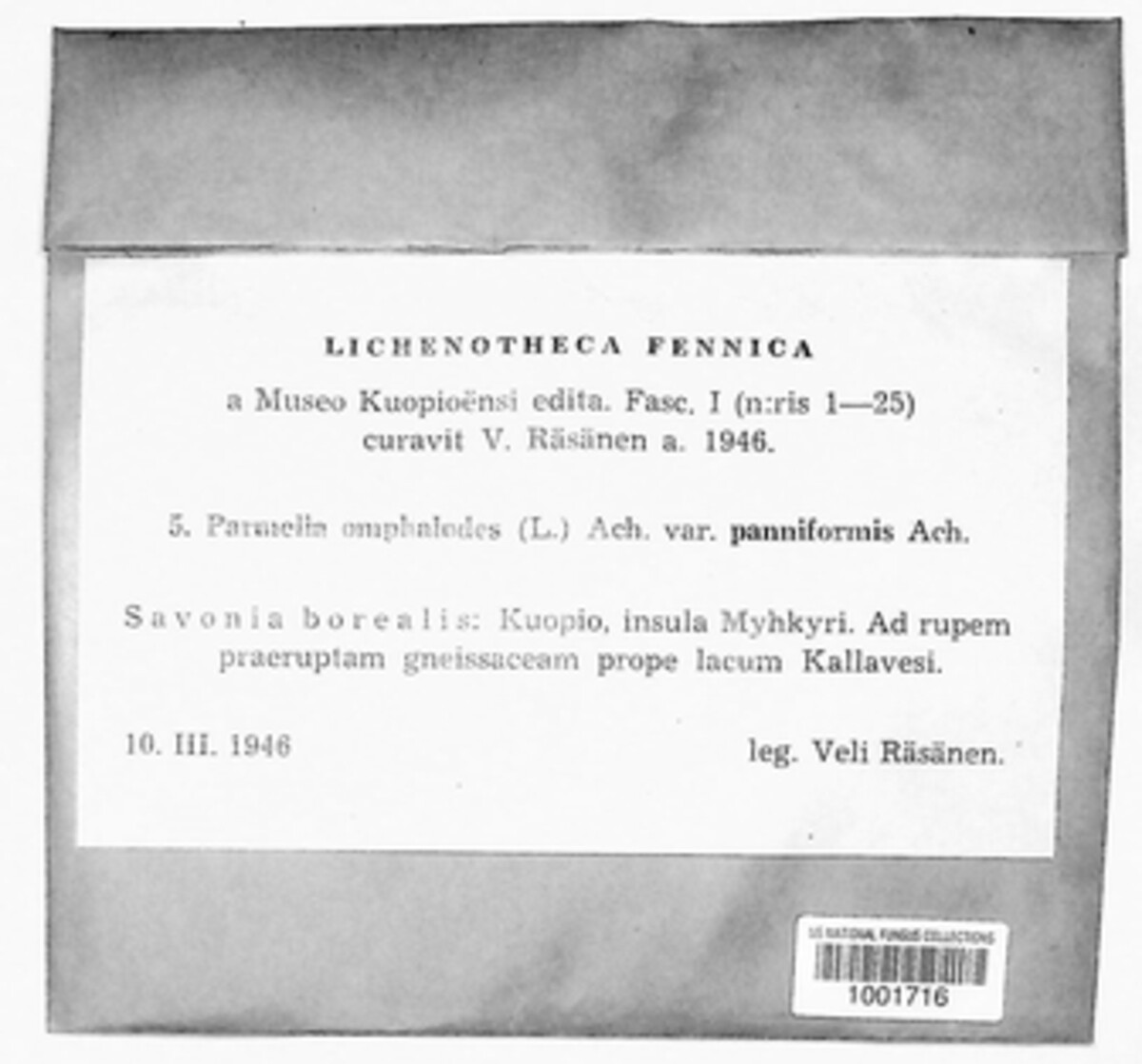Parmelia omphalodes image
